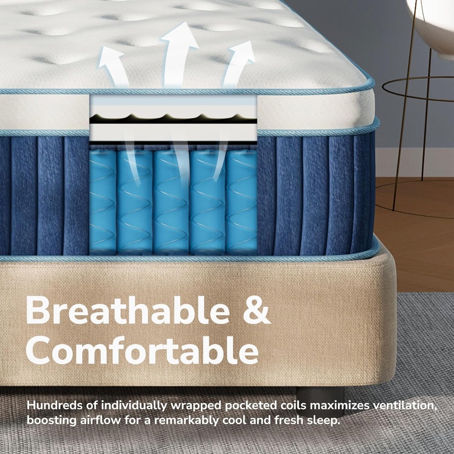 12 Inch Queen Hybrid Mattress  - Memory Foam Mattress In A Box Queen ulasan dan harga